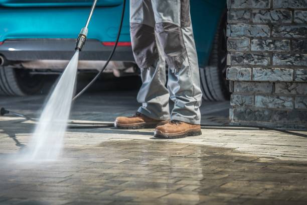 Best Spring Cleaning  in South Valley, NM