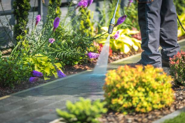Best Restaurant Pressure Washing  in South Valley, NM