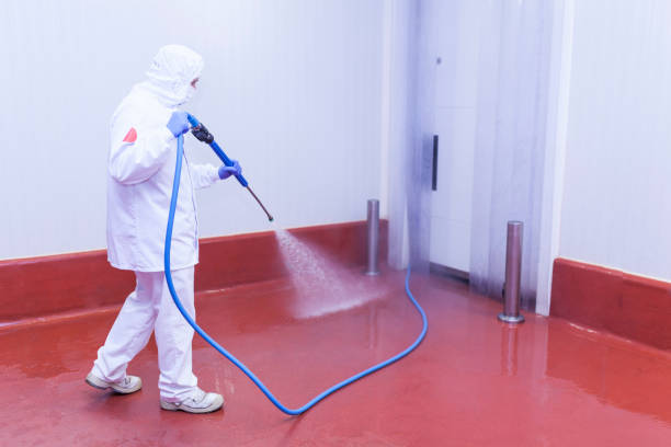 Best Factory Floor Cleaning  in South Valley, NM