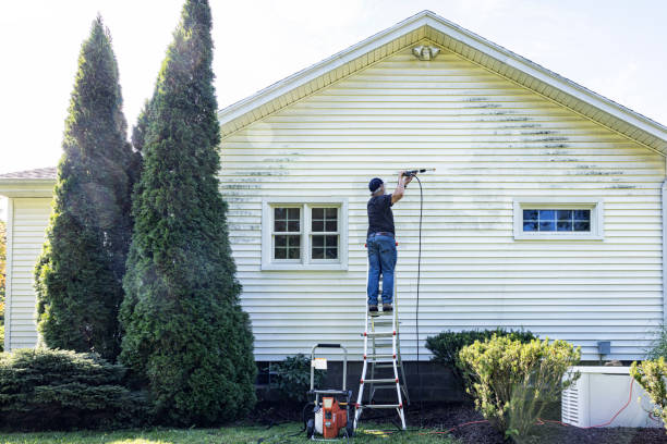 Best Building Exterior Washing  in South Valley, NM