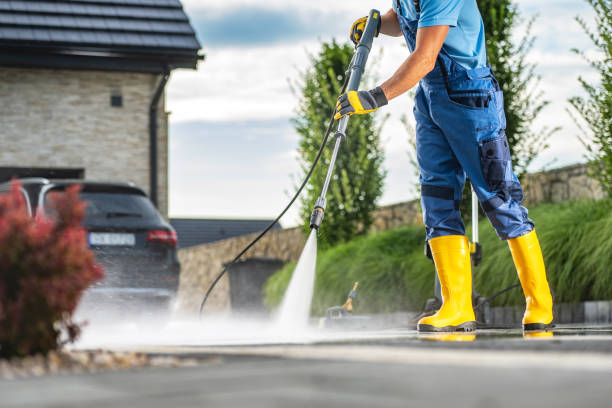 Best Fence Cleaning  in South Valley, NM